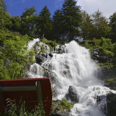 Waldloft Titisee Екстериор снимка