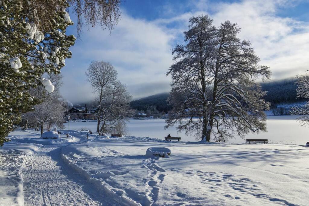 Waldloft Titisee Екстериор снимка