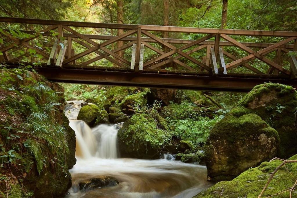 Waldloft Titisee Екстериор снимка
