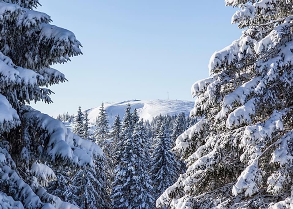 Waldloft Titisee Екстериор снимка
